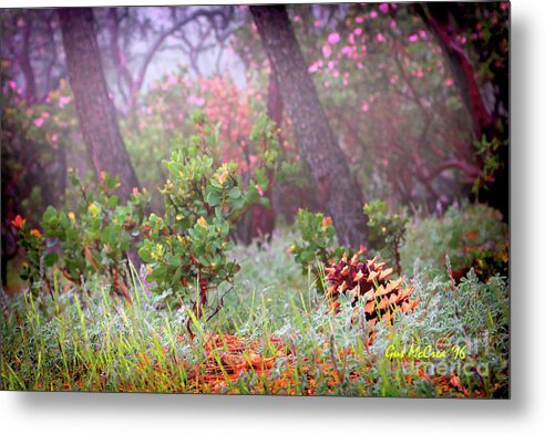 Forest Metal Print featuring the photograph Leaning Forest and Manzanitas by Gus McCrea