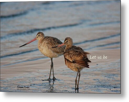  Metal Print featuring the photograph Marbled Gotwits say Let us be by Sherry Clark
