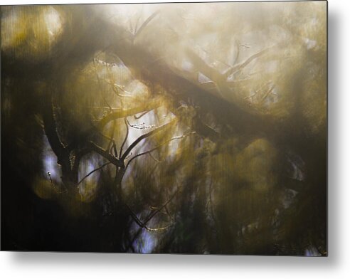 Mist Metal Print featuring the photograph Me Fuddled by Linda McRae