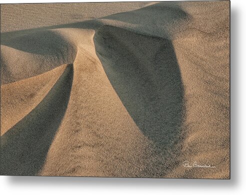 Sand Metal Print featuring the photograph Sands of Jockey's Ridge 1389 by Dan Beauvais