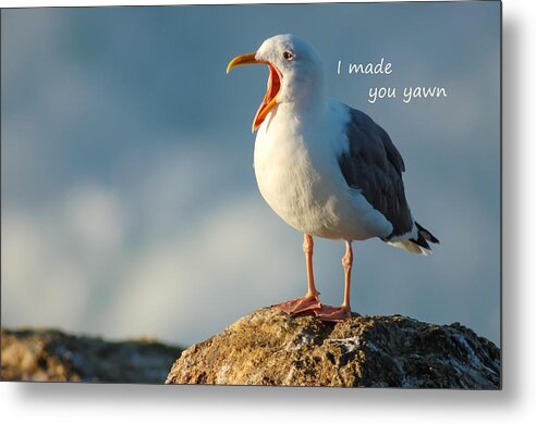 Yawn Metal Print featuring the photograph The Gull Said I made you Yawn by Sherry Clark