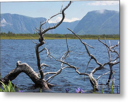 Western Brook Pond Metal Print featuring the photograph View across the water by Agnes Caruso