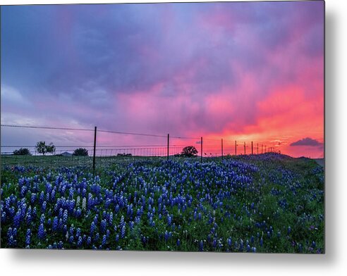 Texas Wildflowers Metal Print featuring the photograph Coming Storm II by Johnny Boyd