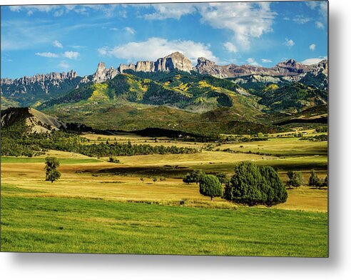 Aspens Metal Print featuring the photograph Field Of Gold by Johnny Boyd