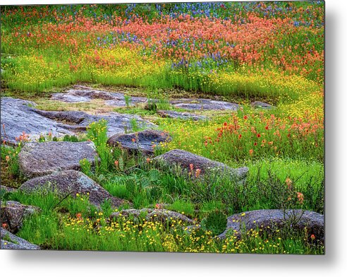 Texas Wildflowers Metal Print featuring the photograph Wildflower Rock by Johnny Boyd