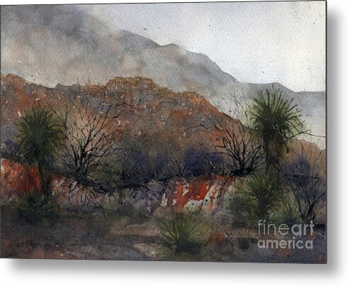 Landscape Metal Print featuring the painting From Boquillas Gulch by Tim Oliver