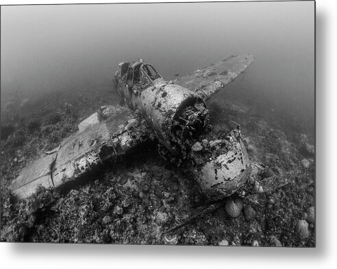 B&w Metal Print featuring the photograph Jake sea plane by Todd Winner