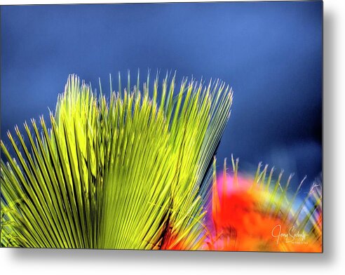32733 Metal Print featuring the photograph Palm and Flower by Jerry Sodorff