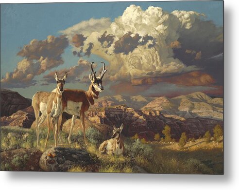 Pronghorn Metal Print featuring the painting Summer Evening by Greg Beecham