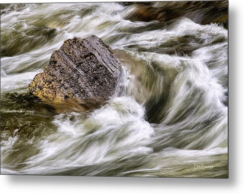 Great Smoky Mountains National Park Metal Print featuring the photograph Tremont #8819 by Dan Beauvais