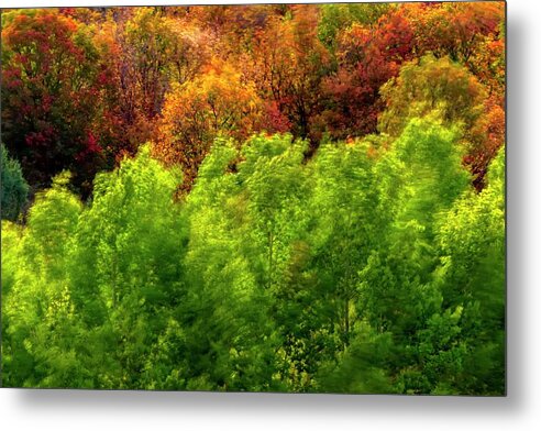 Trees Metal Print featuring the photograph Windy Autumn Trees by Jerry Sodorff