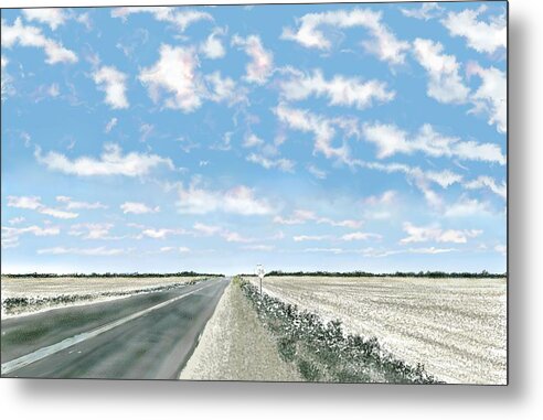 Texas Metal Print featuring the digital art Texas 36 by Kerry Beverly