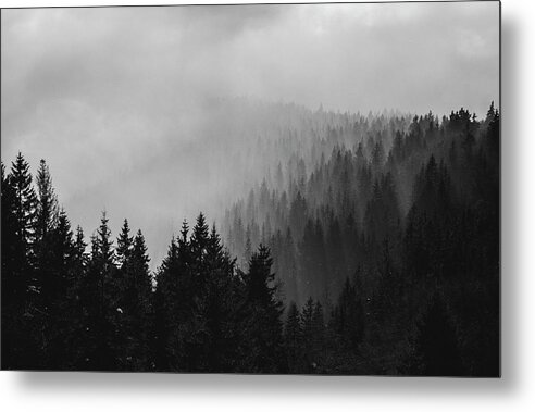 Foggy Metal Print featuring the photograph Foggy Mountain Forest by Martin Vorel Minimalist Photography