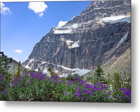 Interpretive Apps For The Canadian Rockies Metal Print featuring the photograph Interpretive Apps in the Canadian Rockies by Ken Barrett