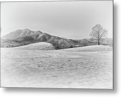 Winter Metal Print featuring the photograph Winter by Kevin Senter