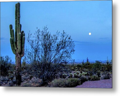 Full Moon Metal Print featuring the photograph Cactus Moonrise 48x by Randy Jackson