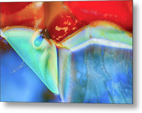 Butterfly Metal Print featuring the photograph Psychadelic Butterfly by Omaste Witkowski