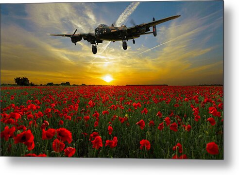 Wwii Metal Print featuring the digital art Field of the Fallen by Mark Donoghue