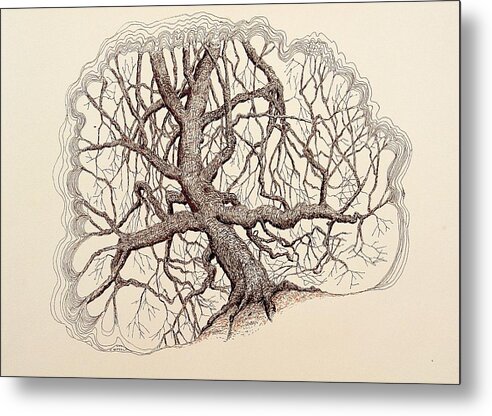 Tree Metal Print featuring the drawing Tree in Winter II by Kerry Beverly