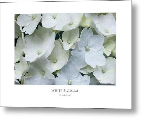 Beautiful Metal Print featuring the digital art White Blossom by Julian Perry