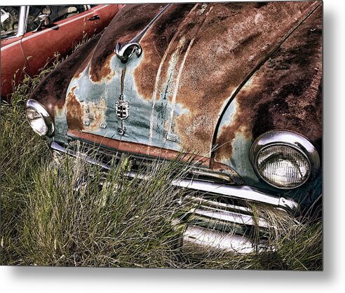 Car Metal Print featuring the photograph Grass Fed by Trever Miller