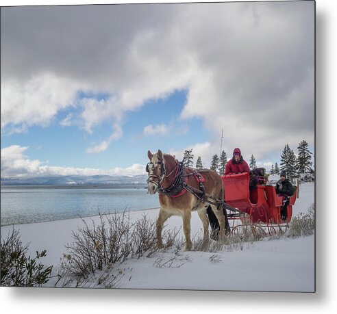 Sand Metal Print featuring the photograph Sleigh Ride by Martin Gollery