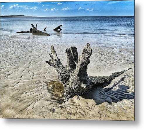 Landscape Metal Print featuring the photograph Sculpted by the Sea by Portia Olaughlin