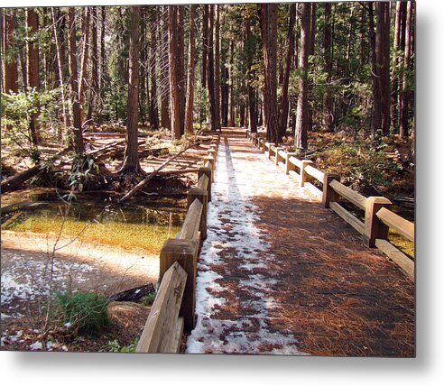 Yosemite Park Metal Print featuring the photograph Yosemite midday sunlight by Walter Fahmy