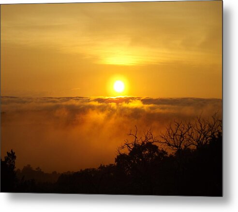  Metal Print featuring the photograph After The Storm by Rebecca Cearley