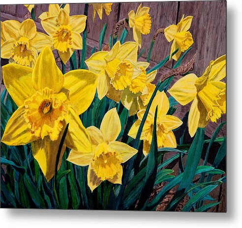 Daffodils Metal Print featuring the painting Daffodils by Charles Harris