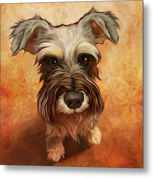 Schnauzer Metal Print featuring the painting What about Me? by Sean ODaniels