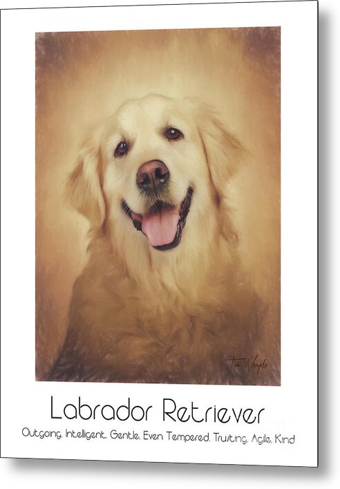 Labrador Metal Print featuring the digital art Labrador Retriever Poster by Tim Wemple