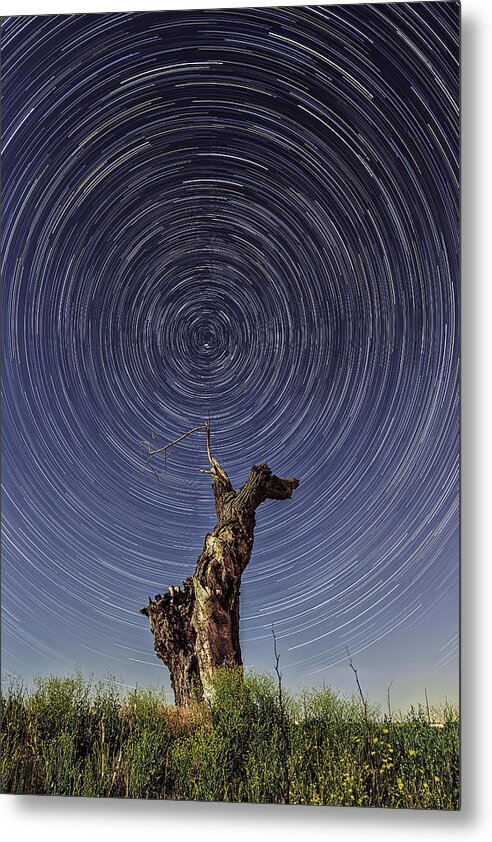 California Metal Print featuring the photograph Lonely Tree Under Star Trails by Don Hoekwater Photography