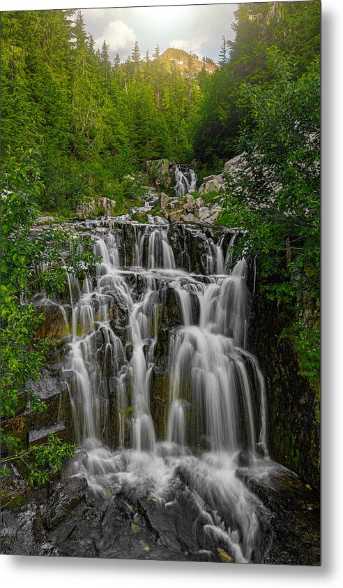 California Metal Print featuring the photograph Water fall in Mount Rainier National Park by Don Hoekwater Photography