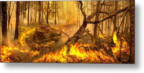 Forests Metal Print featuring the photograph 2 Peter 3 10 by Bill Stephens