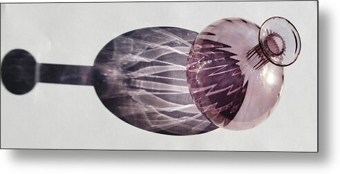 Still Life Metal Print featuring the photograph Push me Pull You by Theresa Johnson