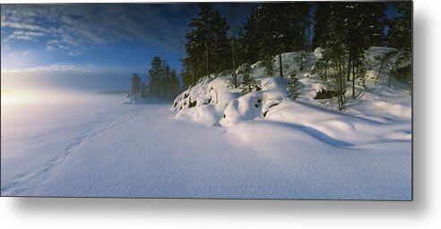 Photography Metal Print featuring the photograph Trees Along A Frozen Lake, Saimaa #2 by Panoramic Images