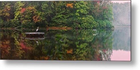 Babcock State Park Metal Print featuring the photograph Great Herons by Mary Almond