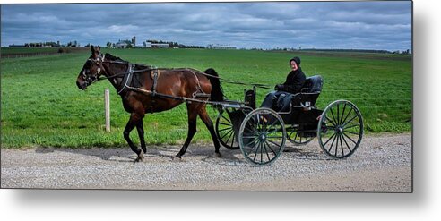 Horse Metal Print featuring the photograph Horse And Buggy on the Farm by Henry Kowalski