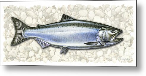 King Metal Print featuring the painting King Salmon by JQ Licensing