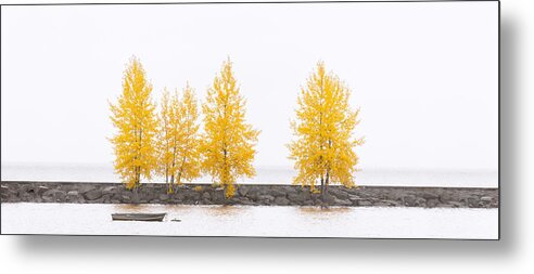 Autumn Metal Print featuring the photograph Panorama Tree by U Schade