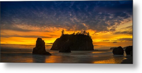 Olympic Metal Print featuring the photograph Ruby Beach Olympic National Park by Steve Gadomski