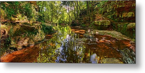 Pewitt's Nest Metal Print featuring the photograph Tranquility Revisited by Leda Robertson