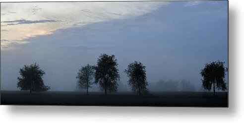 Trees Metal Print featuring the photograph Foggy Pennsylvania Treeline by Angela Rath