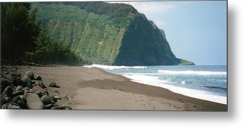 Hawaii Photographs Metal Print featuring the photograph Hawaii Shore by C Sitton