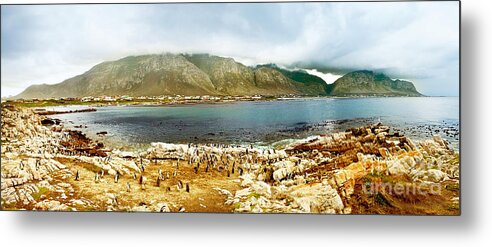 Africa Metal Print featuring the photograph Panoramic landscape with penguins by Anna Om