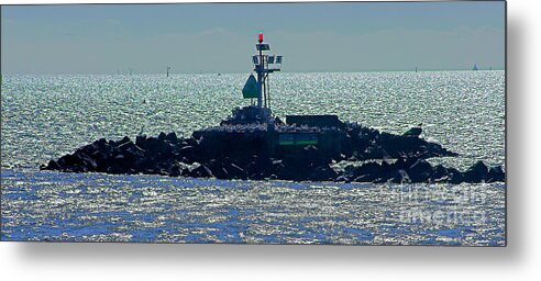 Victoria Metal Print featuring the photograph Seal Rocks by Blair Stuart