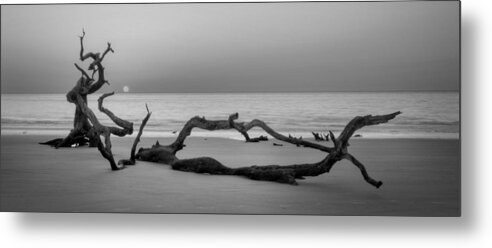 Driftwood Metal Print featuring the photograph Beach Art Cropped in Black an White by Greg and Chrystal Mimbs
