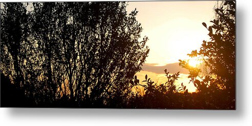 Sunset Metal Print featuring the photograph Fan by HweeYen Ong