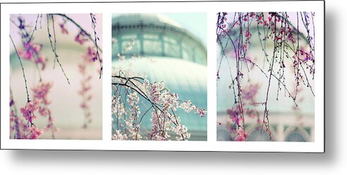 Triptych Metal Print featuring the photograph Greenhouse Blossoms Triptych by Jessica Jenney